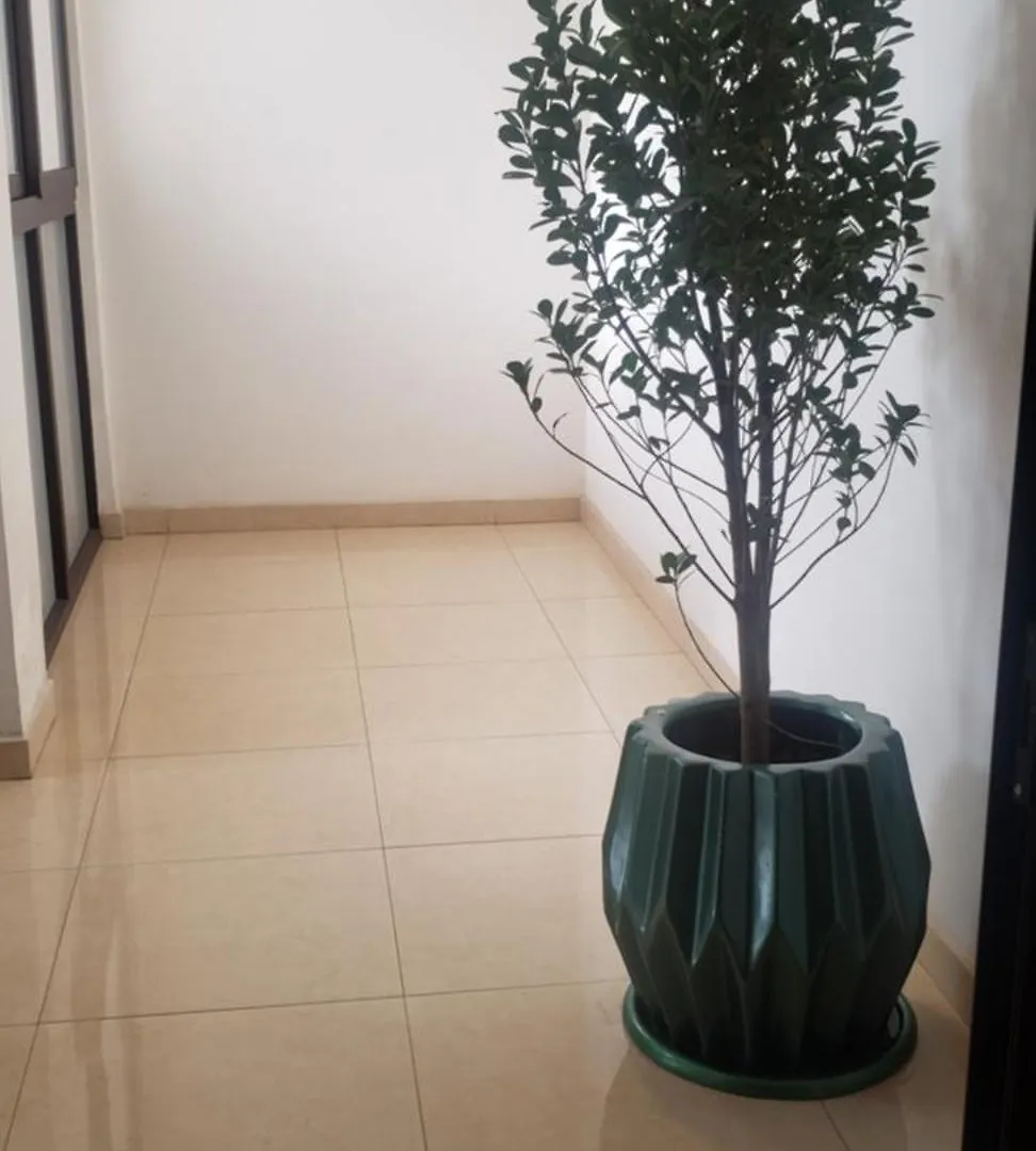 Yole Furnished Apartments Addis Abeba